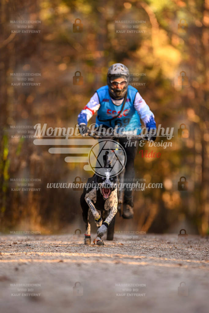 MompixPhotography_DM_AKDM_SO_2025_Bike-158 | PayLife