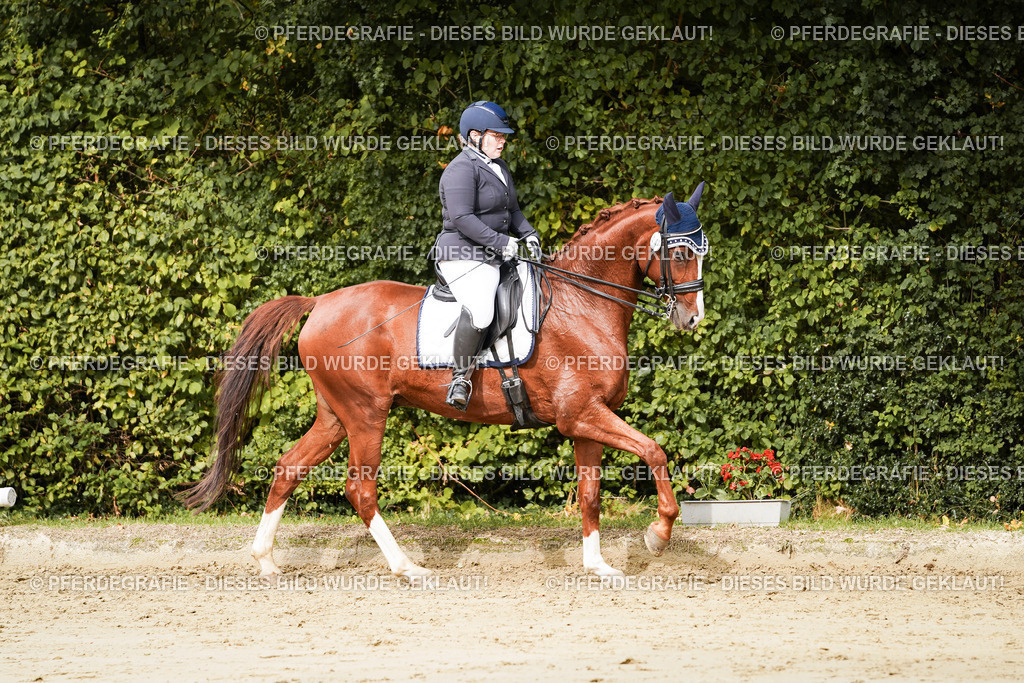 DSC02968 | Pferdegrafie