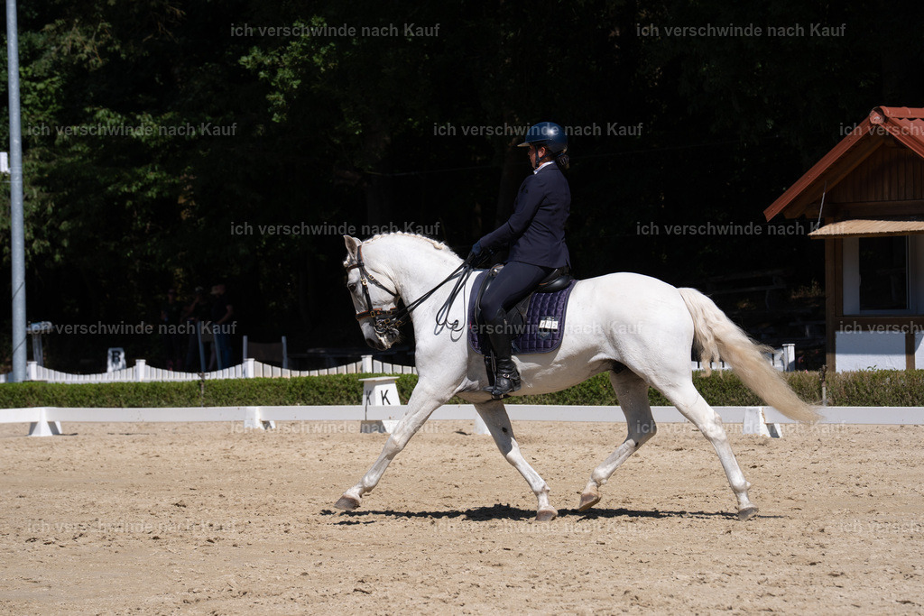 WS_DR_142_sinafilmart_IN09795 | working equitationturnier fotograf videograf stoibphotography marixx film working equitation deutschland reitsport turnierfotografie eventfotografie equestrian events