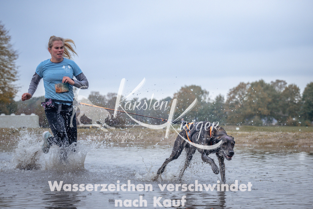 1155_ZZ97371 | kk-dogfotos