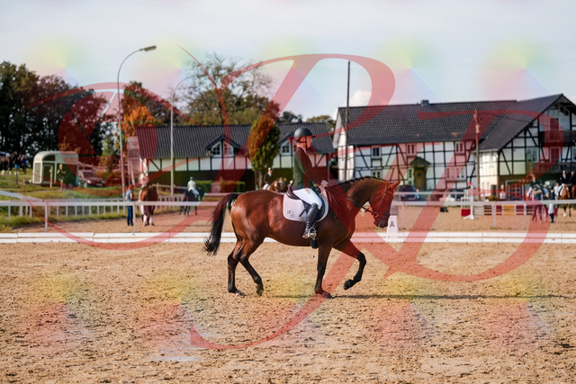 2026_10_03_Siefer-Hof_130843_Z63_70489304 | Professionelle Reitsport-, Turnier- und Eventfotografie von Robert Broda. Galerien mit ausgewählten und bearbeiteten Bildern direkt online ansehen und bestellen.