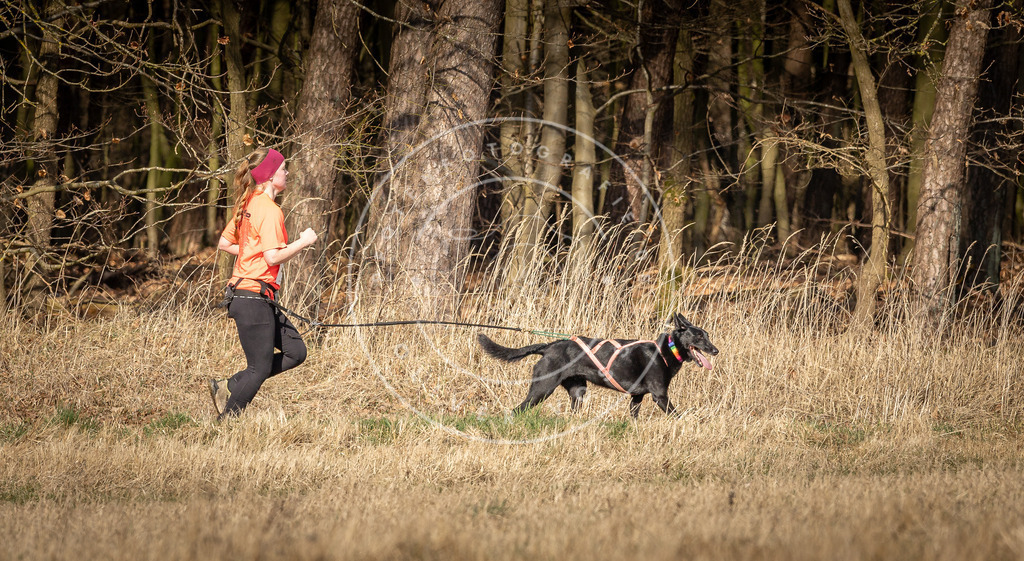 DV3A5997 | Hundefotografie, Tierfotograf, Pfotenfotografie, Fotoshooting Hund, Hunde Portrait, Hundesport, Hundeportraits, Heideshooting, Hunde, Sportfotograf, Hundefotograf, Turnierhundsport, THS,  - Realisiert mit Pictrs.com