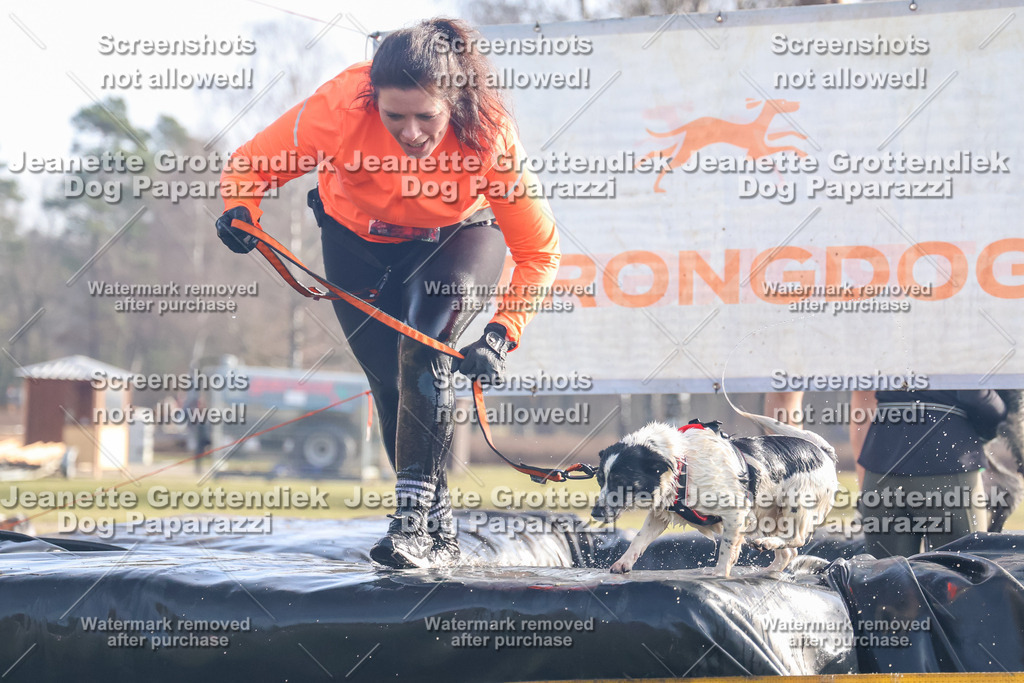 Dog Paparazzi - Strongdog North Mrz26-238 | Dog Paparazzi Jeanette Grottendiek Fotografie & Videografie - Realisiert mit Pictrs.com