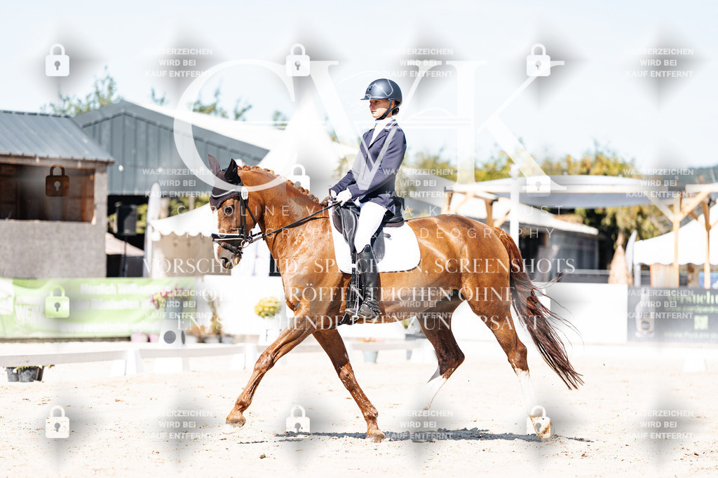 CK909280 | Turnierfotografie Pferdefotografie Trier Rheinland-Pfalz Pferdesport Reitsport Tierfotografie Sportfotografie Pferdevideo Pferdevideografie Equestrianvideography equestrianphotography  - Realisiert mit Pictrs.com