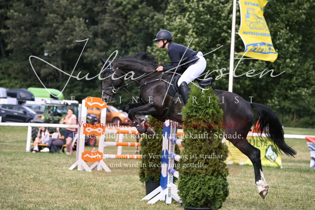 DSC_0824 | Pferde- und Turnierfotografie in Westsachsen. Pferdeportraits, Auftragszeichnungen und intuitive Kunst.