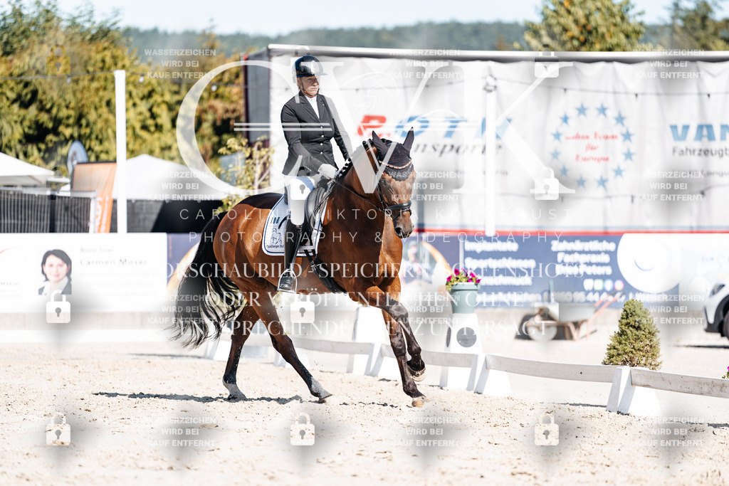 CK908337 | Turnierfotografie Pferdefotografie Trier Rheinland-Pfalz Pferdesport Reitsport Tierfotografie Sportfotografie Pferdevideo Pferdevideografie Equestrianvideography equestrianphotography  - Realisiert mit Pictrs.com