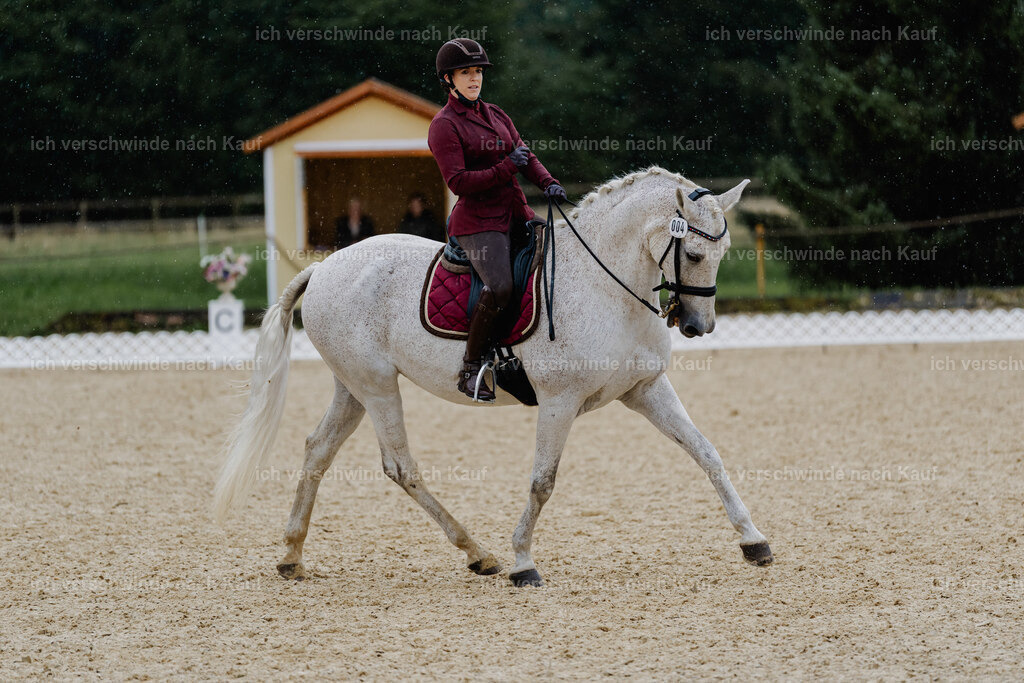 Kelly4_FHC2025-8560 | working equitationturnier fotograf videograf stoibphotography marixx film working equitation deutschland reitsport turnierfotografie eventfotografie equestrian events