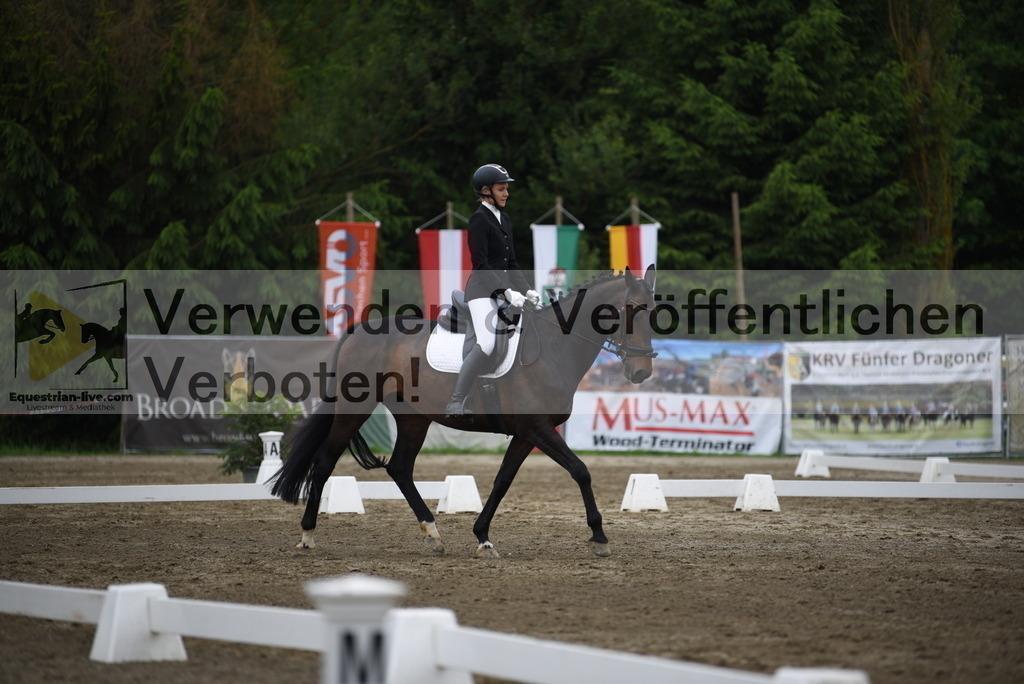 DSC_7876 | equestrian-live-com