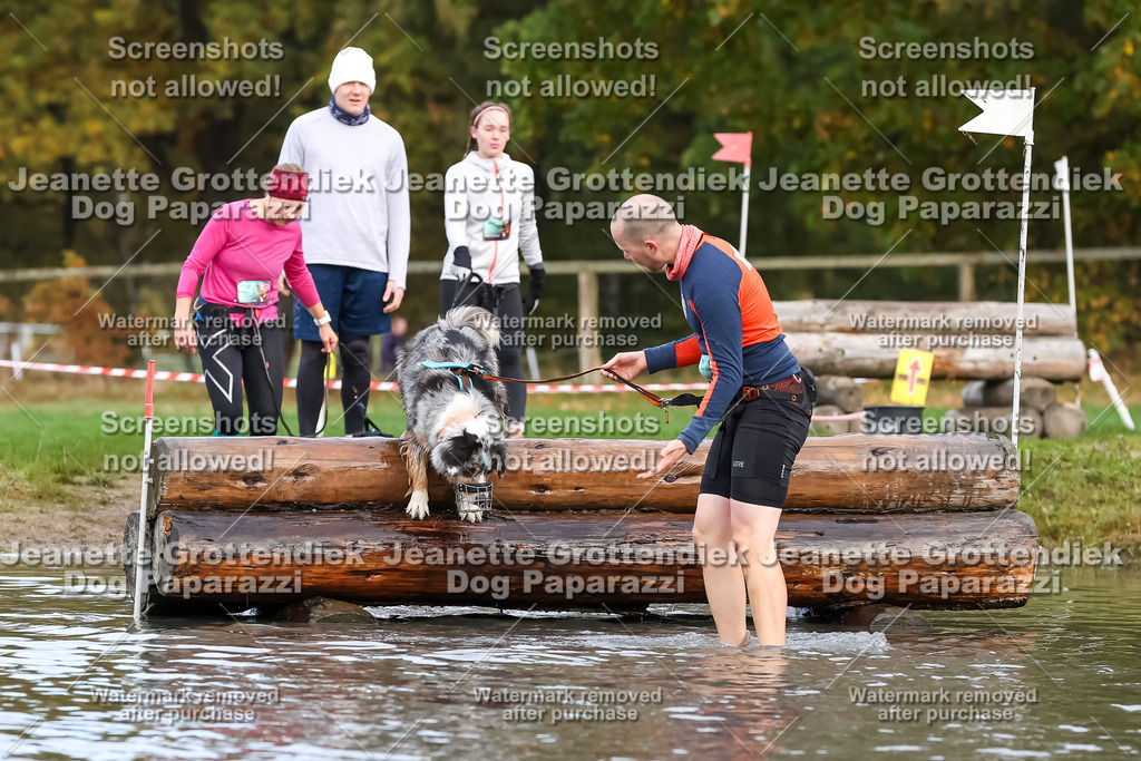 Dog Paparazzi - Strongdog 10-25-6790 | Dog Paparazzi Jeanette Grottendiek Fotografie & Videografie - Realisiert mit Pictrs.com