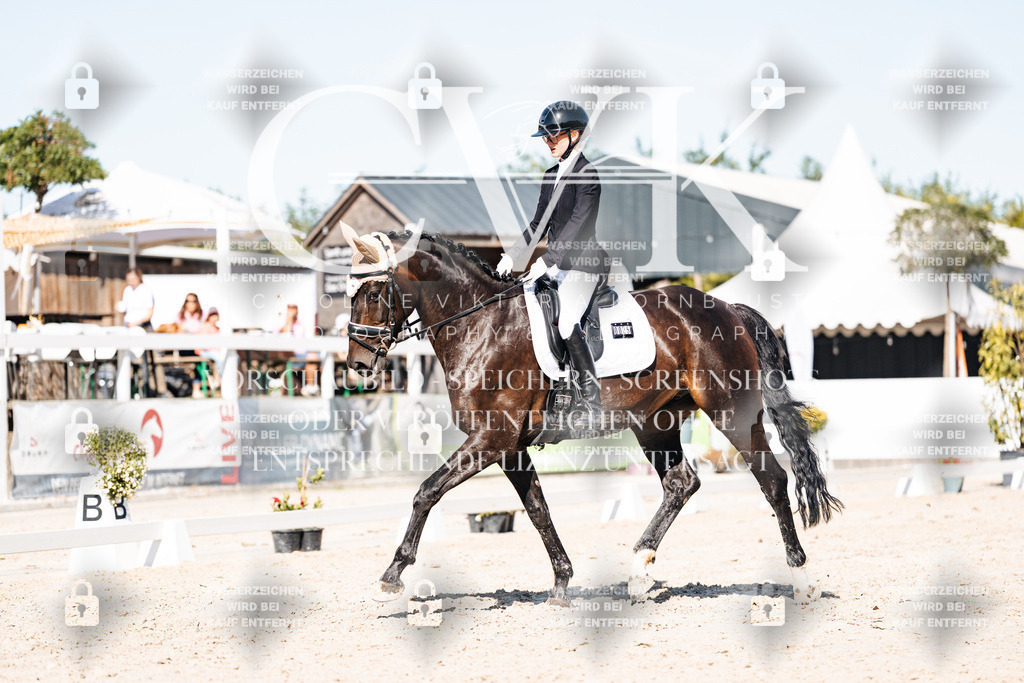 CK908412 | Turnierfotografie Pferdefotografie Trier Rheinland-Pfalz Pferdesport Reitsport Tierfotografie Sportfotografie Pferdevideo Pferdevideografie Equestrianvideography equestrianphotography  - Realisiert mit Pictrs.com