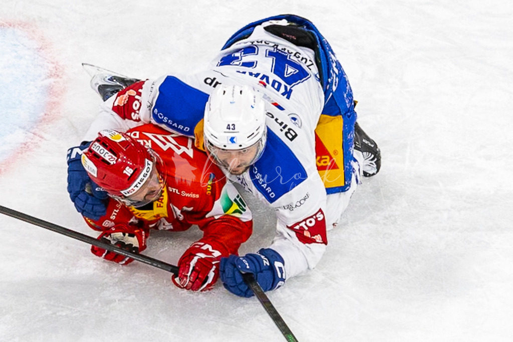 EHCB vs EVZ 20260227_WB-7351 | Sportbilder, Sportfotograf, Hochzeits- und Eventfotografin, Flugshows, Portraits und Tiershooting, Aviation, Downhill, Nationalleague, Swissleague, International