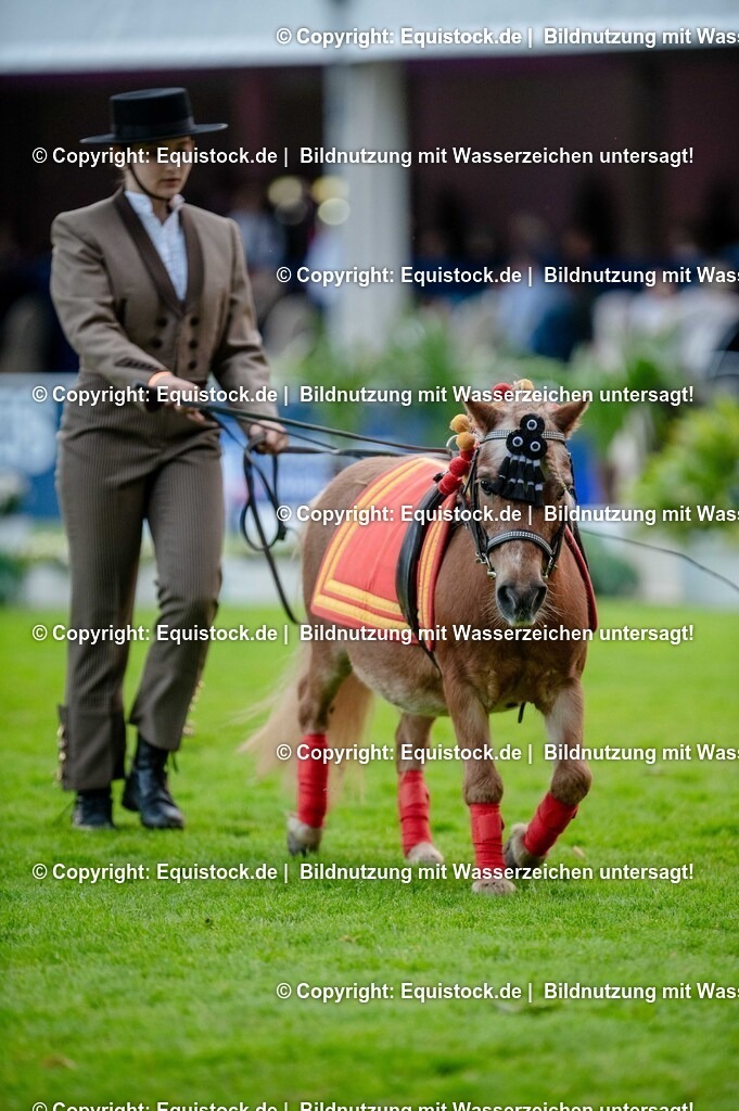 20250606_Lange-Pferdenacht_0642 | Foto: Thomas Hartig