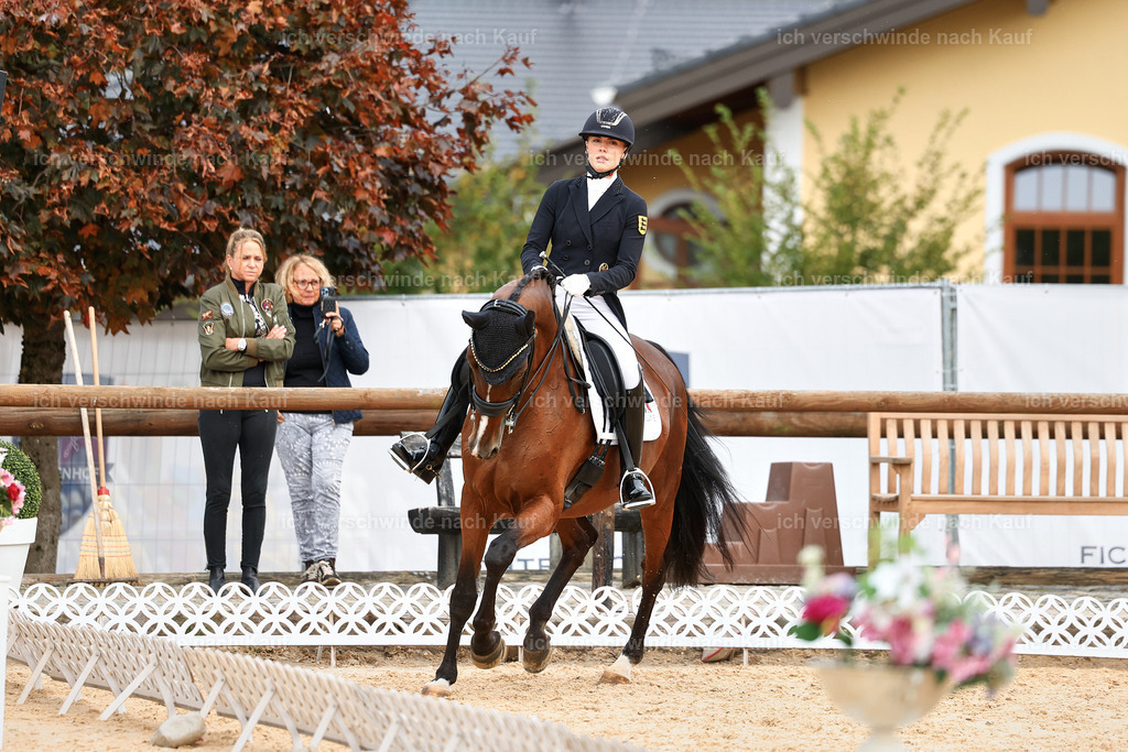 11-003-Dressur S___-StoibPH-1044 | working equitationturnier fotograf videograf stoibphotography marixx film working equitation deutschland reitsport turnierfotografie eventfotografie equestrian events