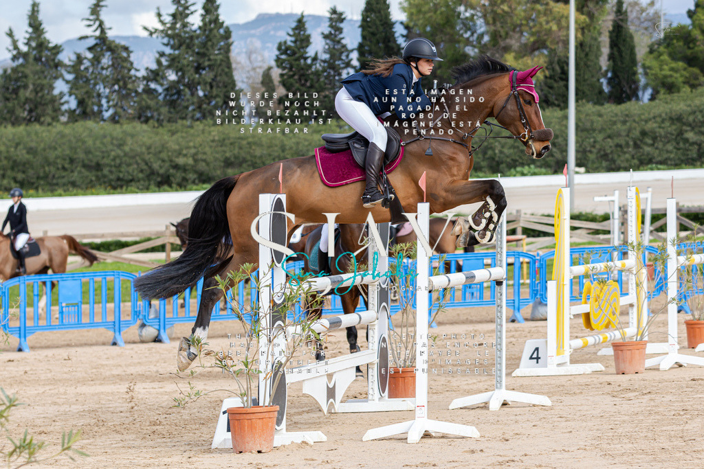 IMG_2635 | s-jay-photography - Realisiert mit Pictrs.com