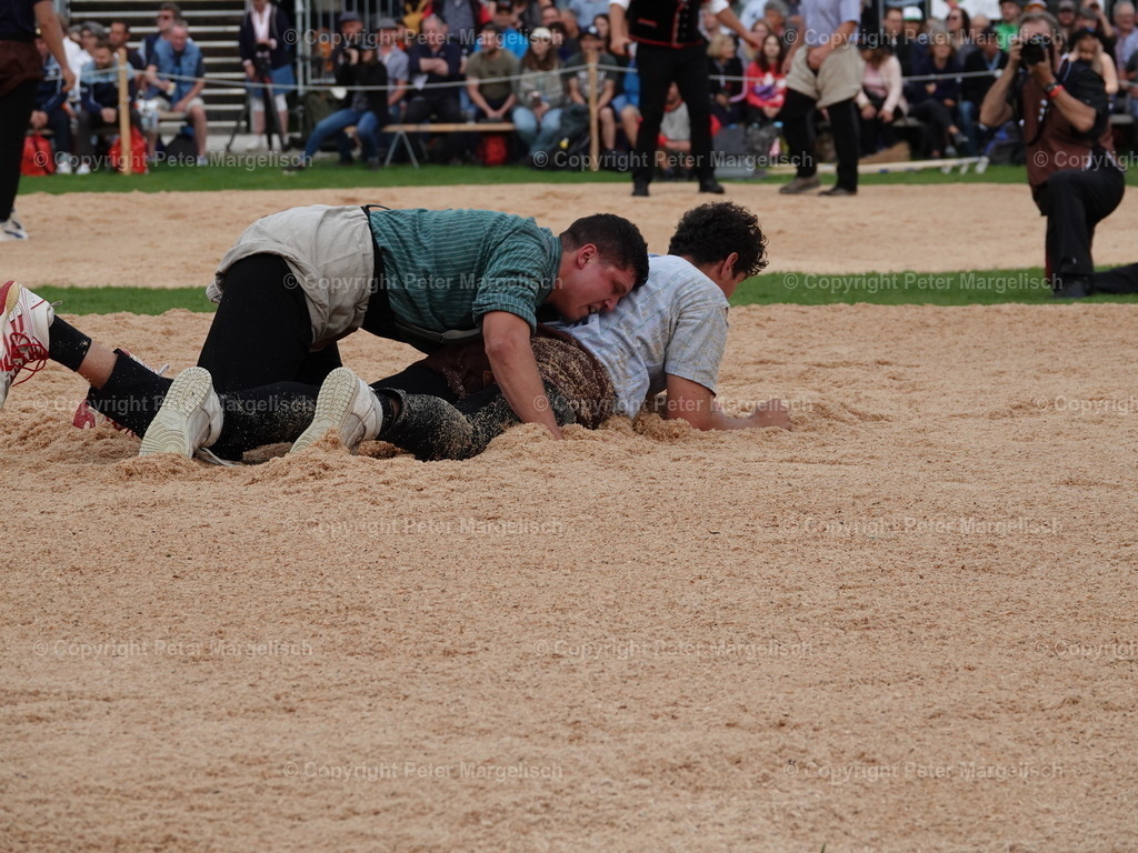 DSC08315 | Schwingen - Realisiert mit Pictrs.com