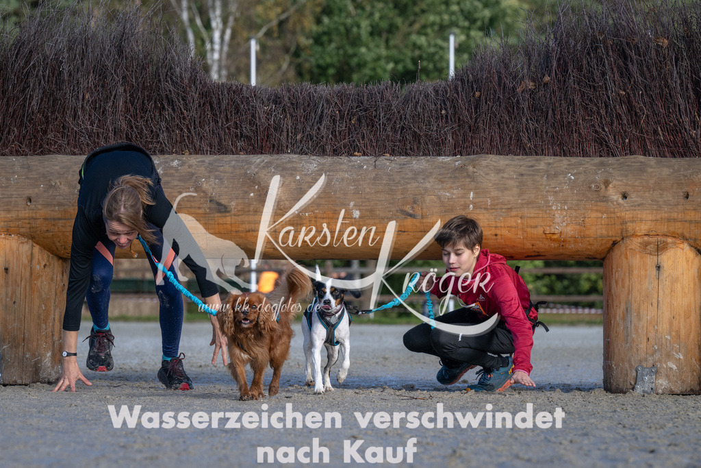 1056-_ZZ93374 | kk-dogfotos