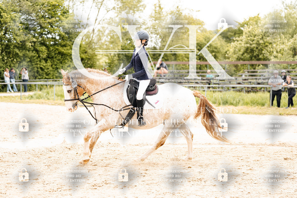 CK904387 | Turnierfotografie Pferdefotografie Trier Rheinland-Pfalz Pferdesport Reitsport Tierfotografie Sportfotografie Pferdevideo Pferdevideografie Equestrianvideography equestrianphotography  - Realisiert mit Pictrs.com