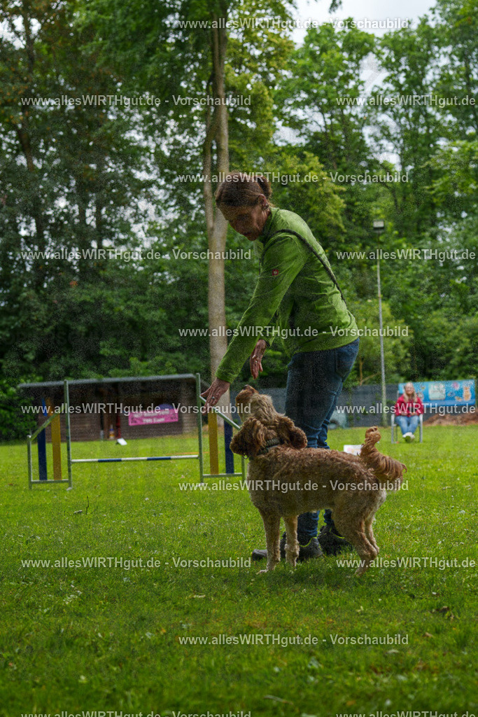 @allesWIRTHgut_Tierfotografie - www.allesWIRTHgut.de - 092214-7R506995 | Professionelle Tierfotografie in Mönchengladbach von Daniel Wirth (allesWIRTHgut). Liebevolle & natürliche Bilder von Hunden & Katzen für unvergessliche Erinnerungen.