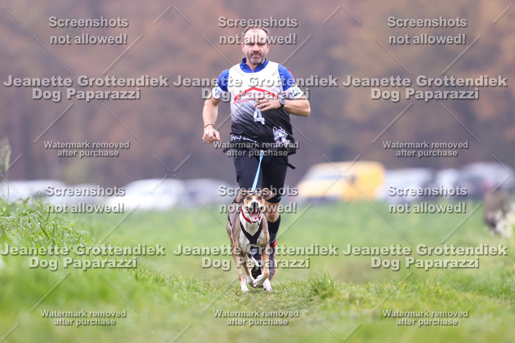 Dog Paparazzi - Visbeck 25 -799 | Dog Paparazzi Jeanette Grottendiek Fotografie & Videografie - Realisiert mit Pictrs.com