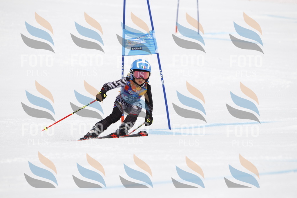 _U3G6195 | holidayphoto