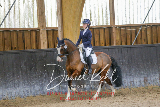 IMG_0705 | Turniersportfotografie; Pferdefotografie; Dressurfotografie