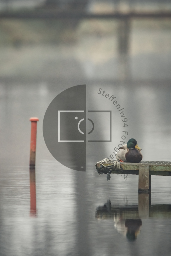Stockende am Kanal Wandbild | Ich bin Fotograf und auf meiner Webseite hast du die Möglichkeit meine fotografie als Wandbilder druckfertig für dein Zuhause zu bestellten. - Realisiert mit Pictrs.com