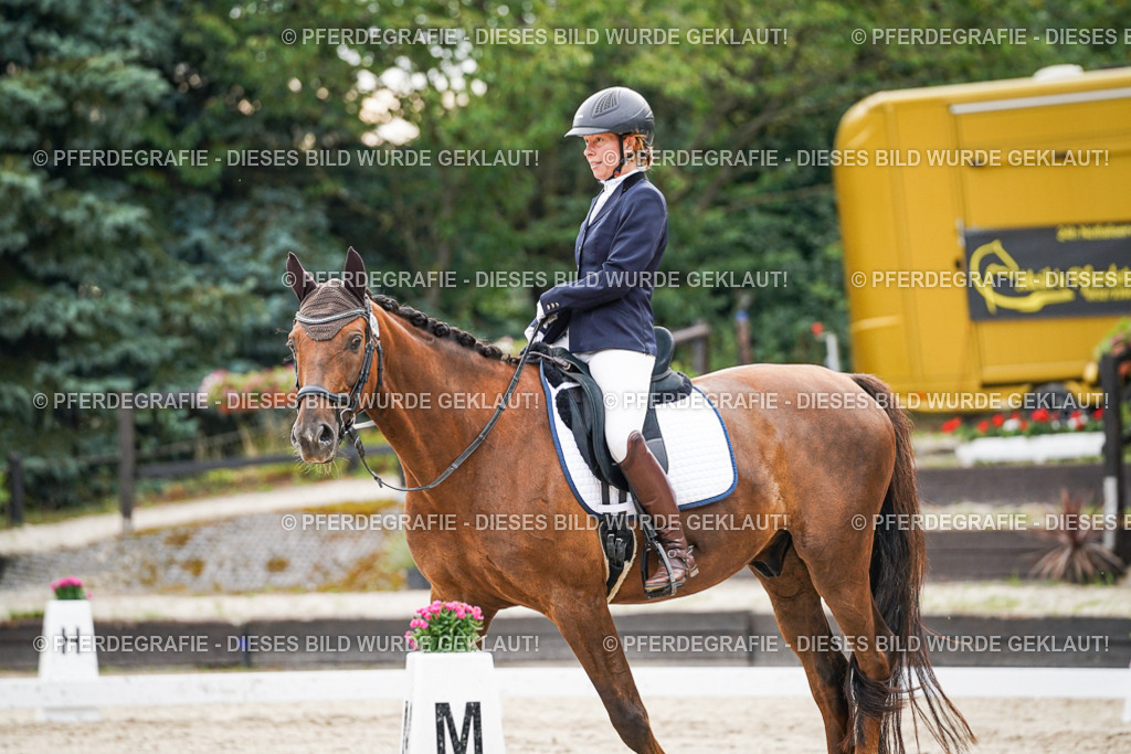 DSC00430 | Pferdegrafie