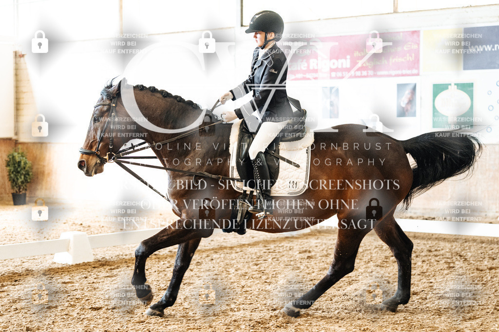 CK900217 | Turnierfotografie Pferdefotografie Trier Rheinland-Pfalz Pferdesport Reitsport Tierfotografie Sportfotografie Pferdevideo Pferdevideografie Equestrianvideography equestrianphotography  - Realized with Pictrs.com