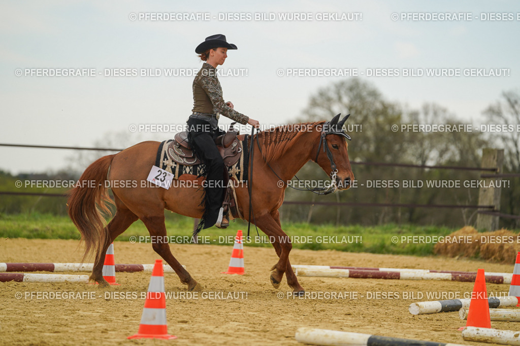 DSC02629 | Pferdegrafie