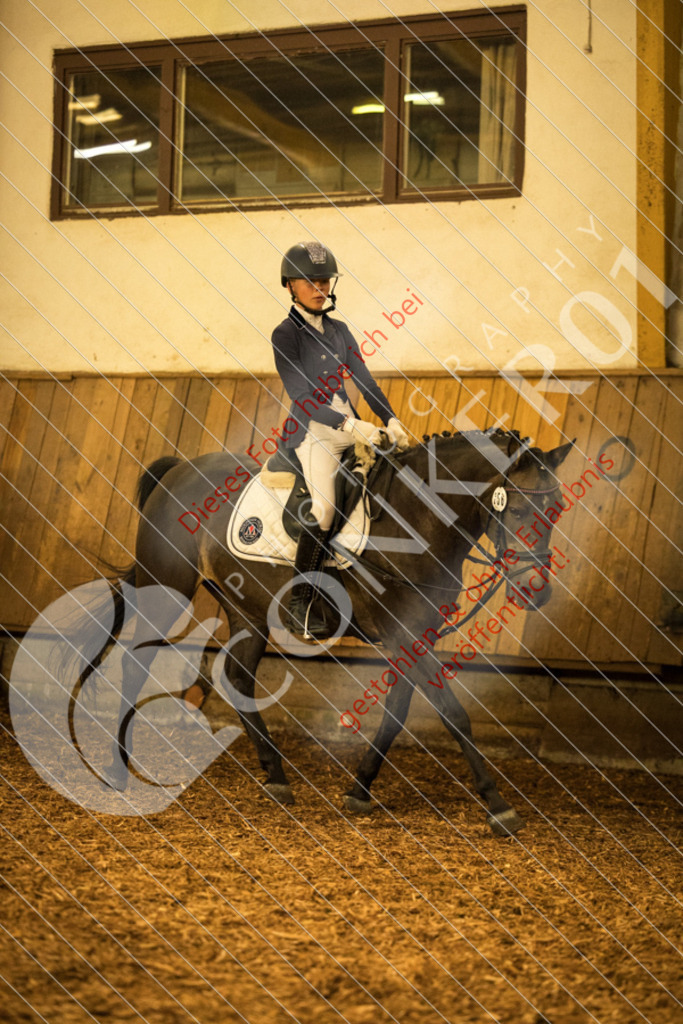 CON_5286 | Sport-, Event- und Tierfotos in Profiqualität. Einfach auswählen, bestellen und herunterladen. Dein Moment – perfekt festgehalten.