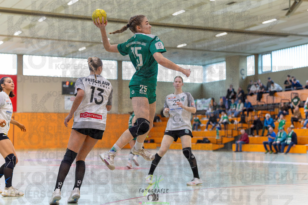 Jugendbundesliga wJA, Pokalrunde, HSG Kleenheim/Langgöns - Frisch Auf Göppingen | Jugendbundesliga wJA, Pokalrunde, HSG Kleenheim/Langgöns - Frisch Auf Göppingen am 28.02.2026 in Oberkleen (Weidig-Halle)Photo © 2026 - Jörg Heinrich - Realisiert mit Pictrs.com
