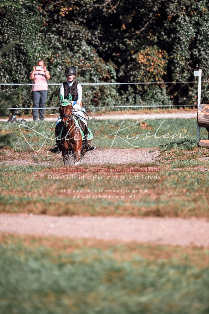 DSC_0855 | Pferde- und Turnierfotografie in Westsachsen. Pferdeportraits, Auftragszeichnungen und intuitive Kunst.