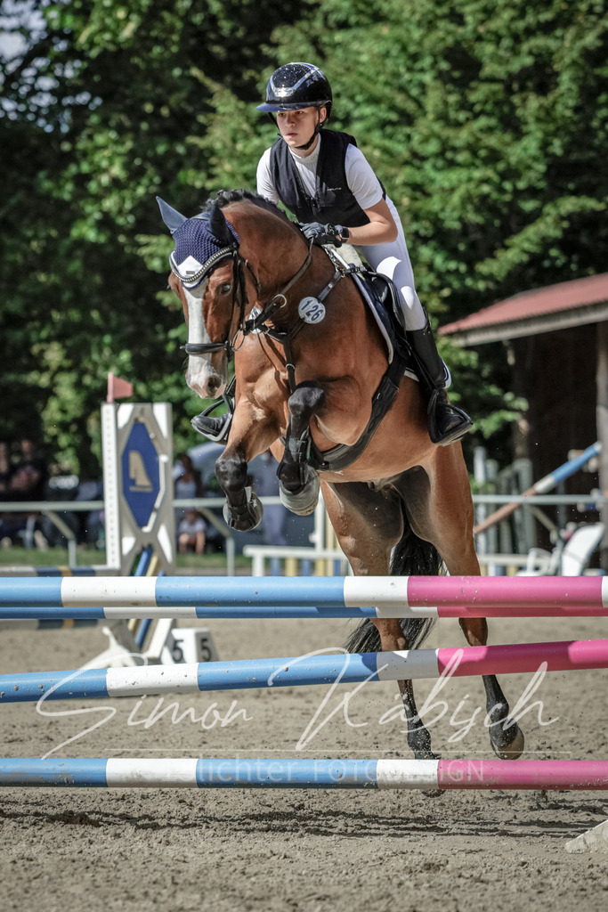 20250906-_3LI6549 | Tierfotografie Pferde, Hunde, Katzen, Haustiere.
Turnierfotografie Reitturniere, Reiten, Springreiten, Dressur in Hanau, dem Main-Kinzig-Kreis und dem Rhein-Main- Gebiet um Frankfurt