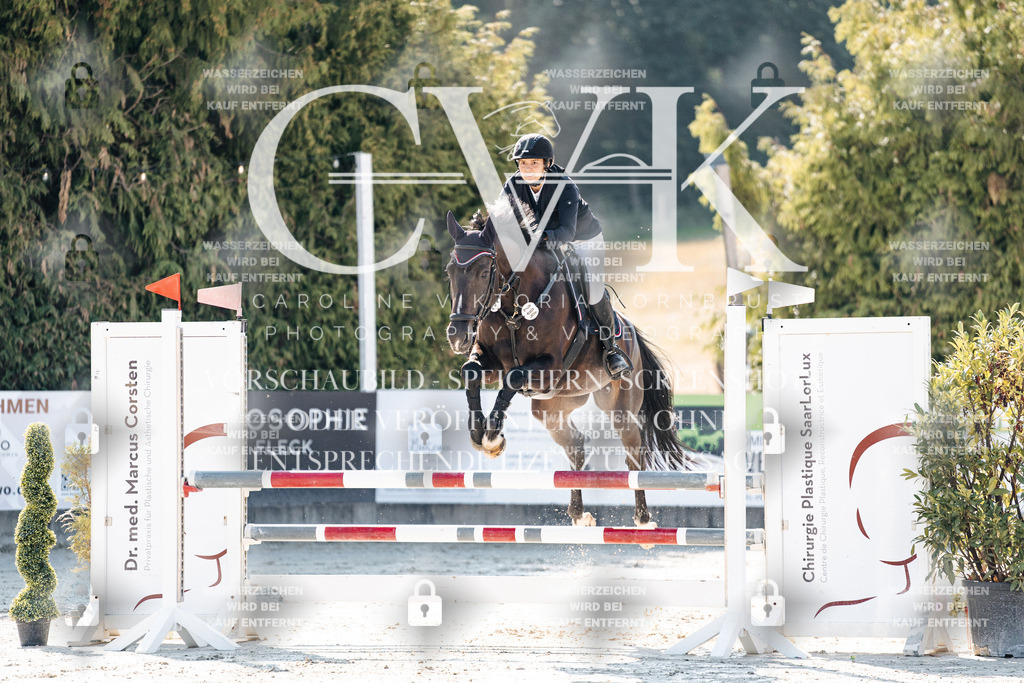 CK907576 | Turnierfotografie Pferdefotografie Trier Rheinland-Pfalz Pferdesport Reitsport Tierfotografie Sportfotografie Pferdevideo Pferdevideografie Equestrianvideography equestrianphotography  - Realisiert mit Pictrs.com