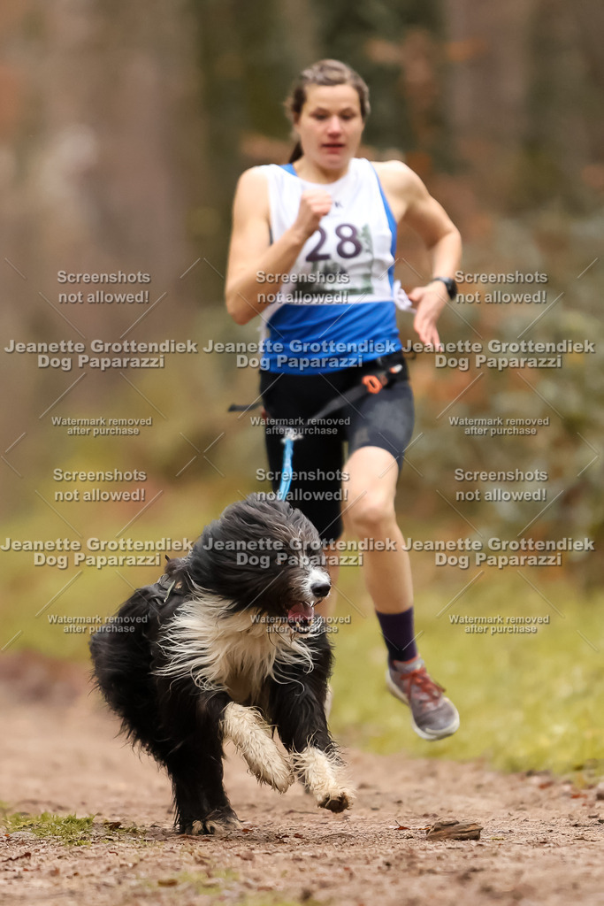 Dog Paparazzi - Speedhunter Mannheim  2025-75 | Dog Paparazzi Jeanette Grottendiek Fotografie & Videografie