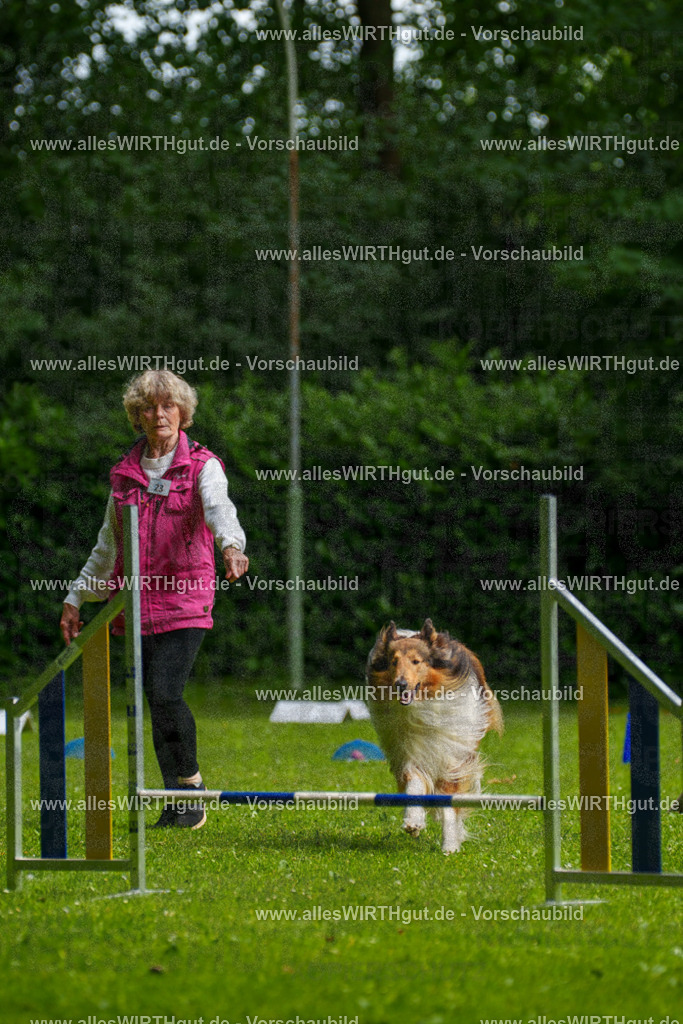 @allesWIRTHgut_Tierfotografie - www.allesWIRTHgut.de - 094953-7R507670 | Professionelle Tierfotografie in Mönchengladbach von Daniel Wirth (allesWIRTHgut). Liebevolle & natürliche Bilder von Hunden & Katzen für unvergessliche Erinnerungen.