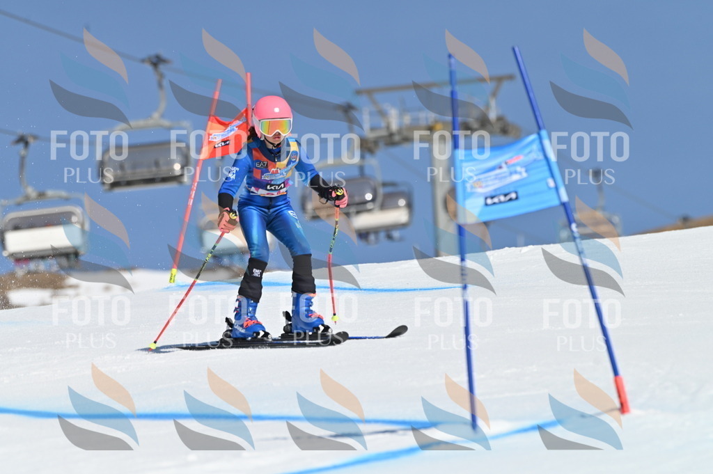 BGV_8220 | holidayphoto