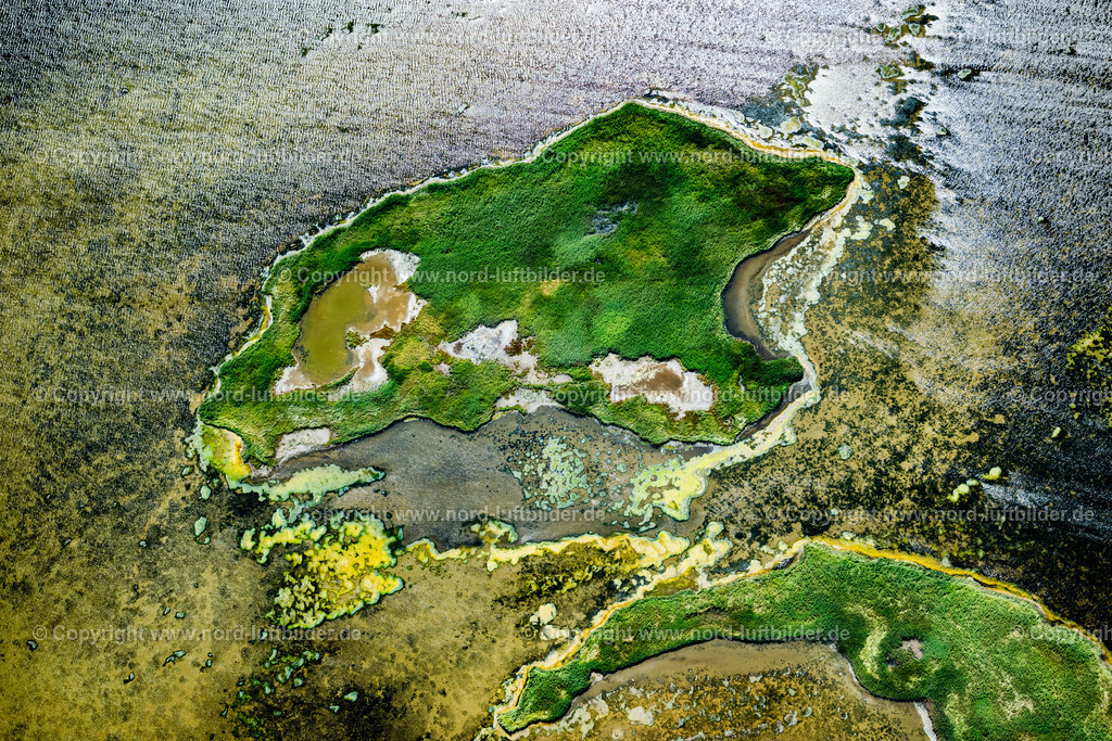 Sylt_Rantum_Rantumbecken_Salzwiesen_ELS_98163130825 | SYLT 13.08.2025 Grasflächen- Strukturen einer Feld- und Wiesen- Landschaft " Rantumbecken " in Sylt Nordsee - Insel im Bundesland Schleswig-Holstein, Deutschland. // Grass area structures of a salt marsh landscape " Rantumbecken " in Sylt North Sea Island in the state Schleswig-Holstein, Germany. Foto: Martin Elsen