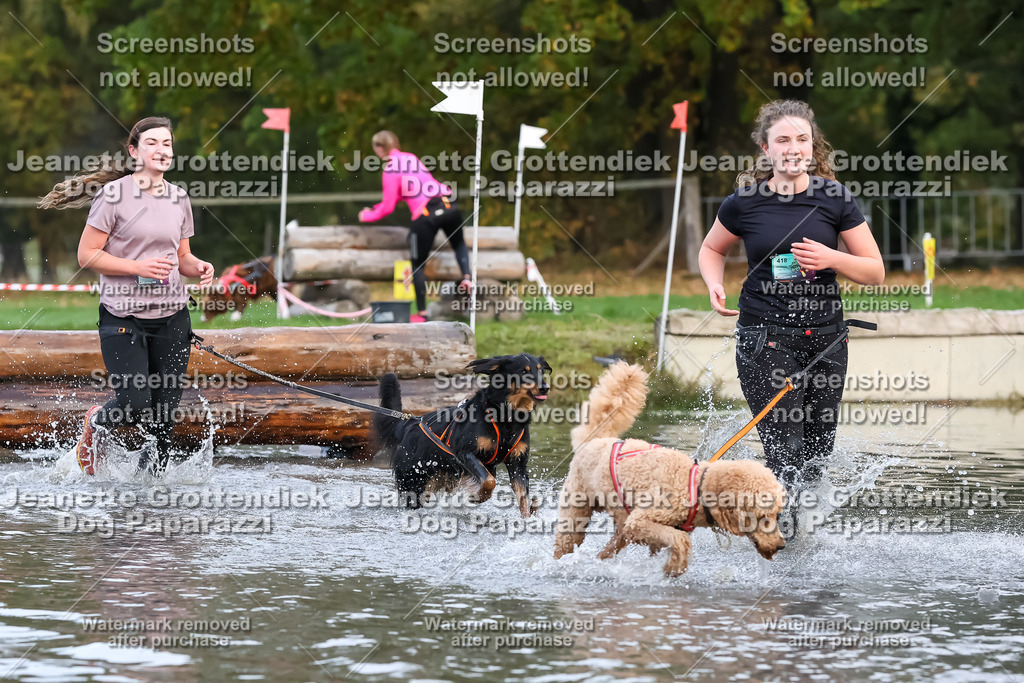 Dog Paparazzi - Strongdog 10-25-6473 | Dog Paparazzi Jeanette Grottendiek Fotografie & Videografie - Realisiert mit Pictrs.com