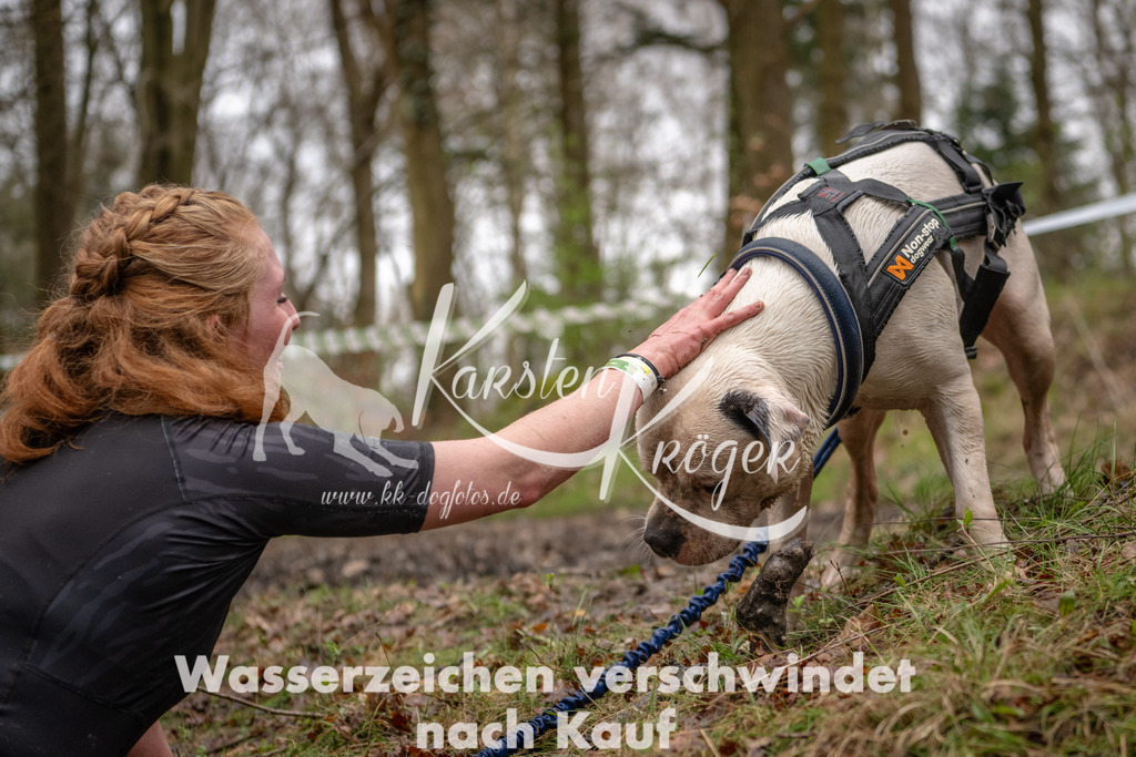 1139_ZZ93957 | kk-dogfotos