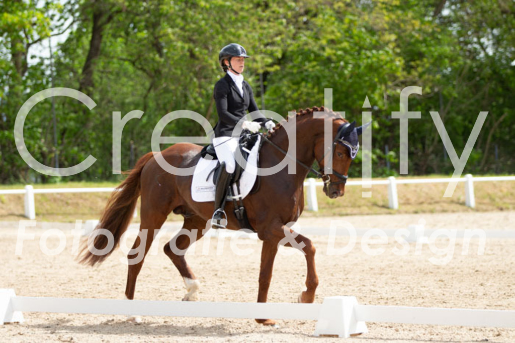 IMG_2531 | Creatify Fotografie