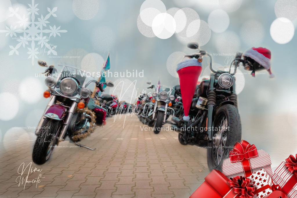 _16A3004-10 | Einzigartige Fotos von Hunden & Menschen –Actionfotos, Portraits, Vereinsaufnahmen & Paarshootings – authentisch, lebendig & mit Herz.