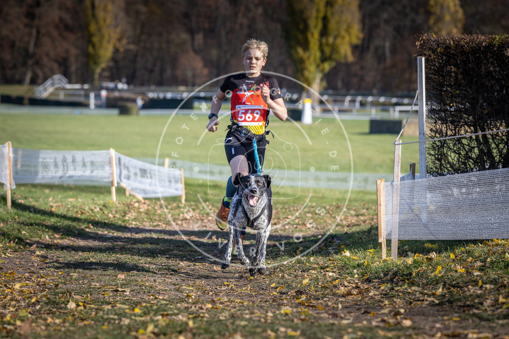 CaniXpix_DV3A8836 | Hundefotografie, Tierfotograf, Pfotenfotografie, Fotoshooting Hund, Hunde Portrait, Hundesport, Hundeportraits, Heideshooting, Hunde, Sportfotograf, Hundefotograf, Turnierhundsport, THS,  - Realisiert mit Pictrs.com