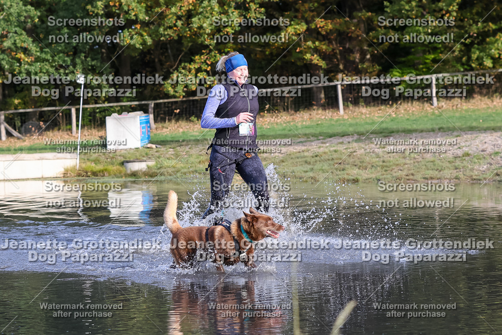 Dog Paparazzi - Strongdog 10-25-8404 | Dog Paparazzi Jeanette Grottendiek Fotografie & Videografie - Realisiert mit Pictrs.com