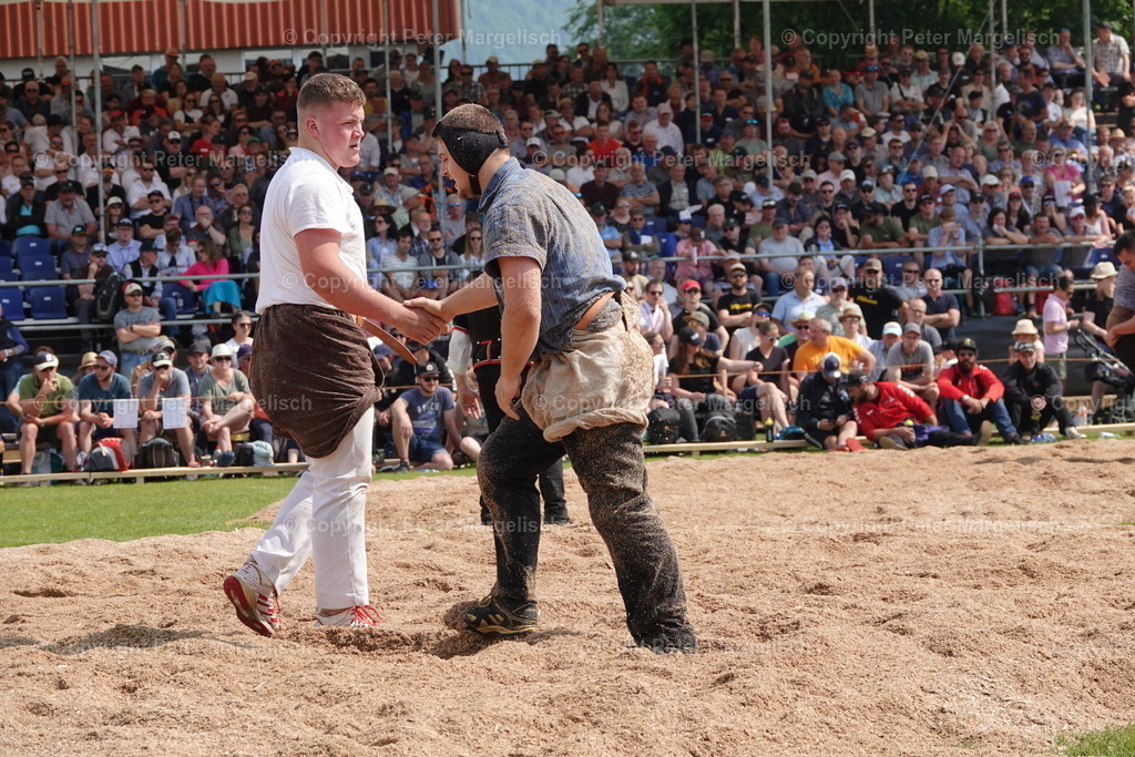 DSC04538 | Schwingen - Realisiert mit Pictrs.com