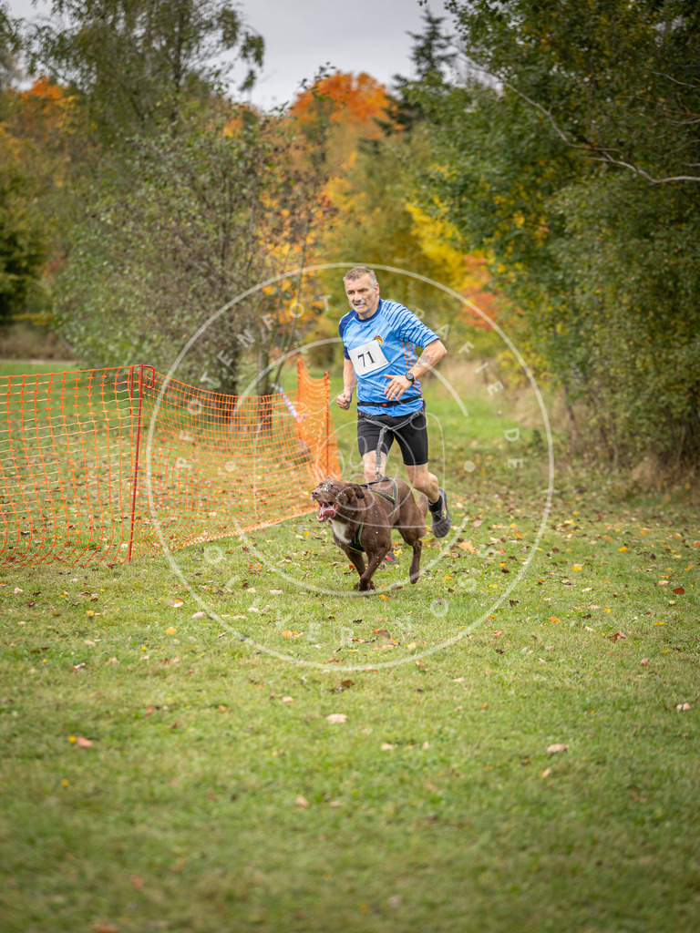 Pfotenfotografie_DV3A2851 | Hundefotografie, Tierfotograf, Pfotenfotografie, Fotoshooting Hund, Hunde Portrait, Hundesport, Hundeportraits, Heideshooting, Hunde, Sportfotograf, Hundefotograf, Turnierhundsport, THS,  - Realisiert mit Pictrs.com