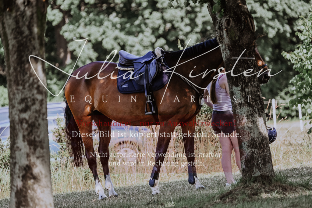 DSC_1816 | Pferde- und Turnierfotografie in Westsachsen. Pferdeportraits, Auftragszeichnungen und intuitive Kunst.