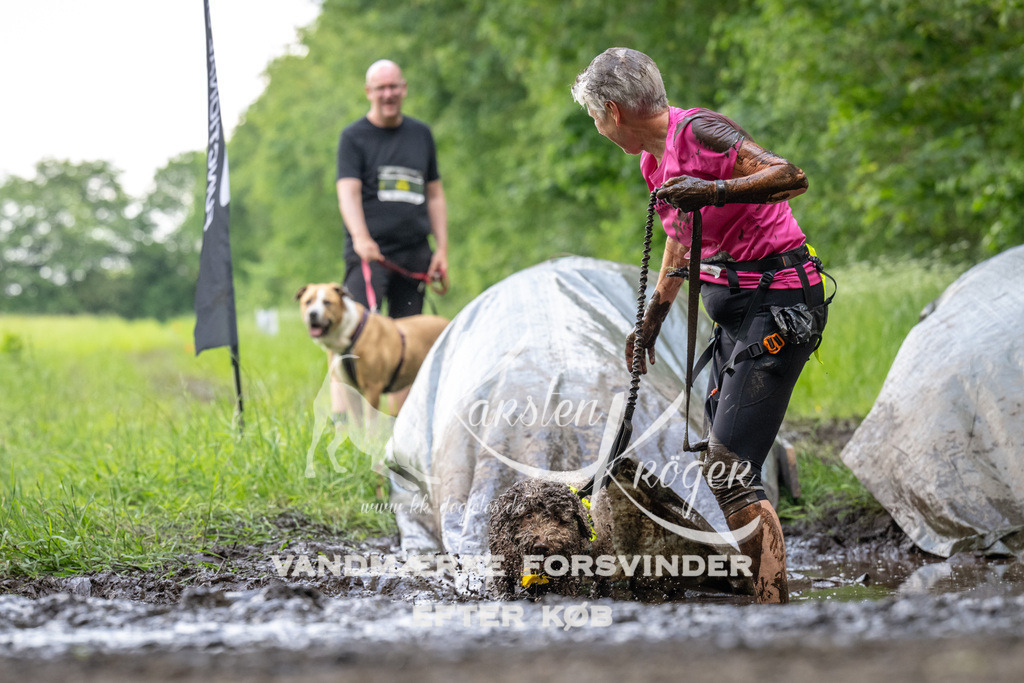 1302_ZZ94723 | kk-dogfotos