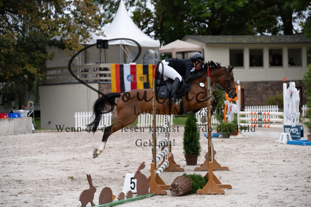 A7V07963 | Pferdefotograf