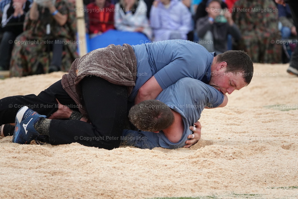 DSC03711 | Schwingen - Realisiert mit Pictrs.com